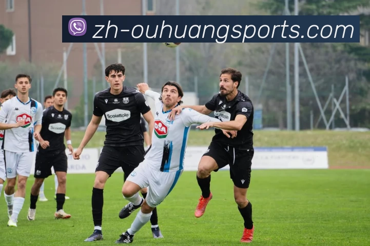 雄鹿队全员回归，展现不凡实力